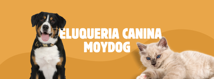PELUQUERIA CANINA EN FERROL MOYDOG